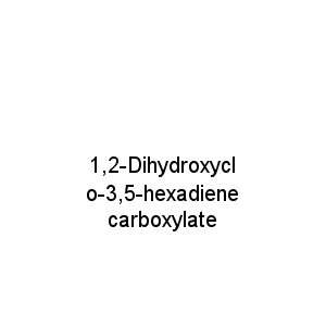 1,2-Dihydroxyclo-3,5-hexadiene carboxylate
